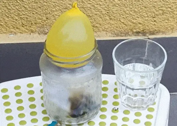 Balon biva usisan u staklenku