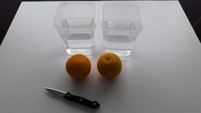 Demonstracija gustoće pomoću naranče - Potrebni materijali