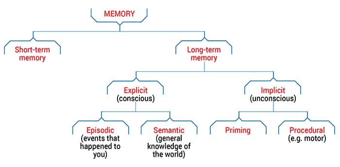 How To Improve Child Working Memory - Types of Memory Diagram