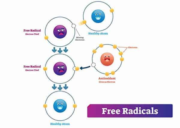 How do Antioxidants work