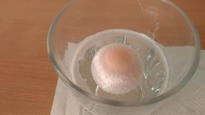 How to make an elastic egg - Reaction between vinegar and egg shell