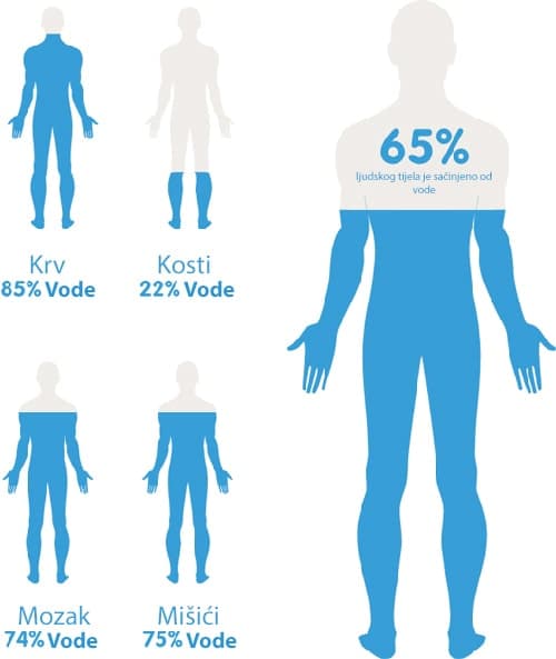 voda u tijelu čovjeka