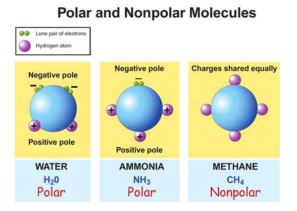 Polar and nonpolar molecules difference