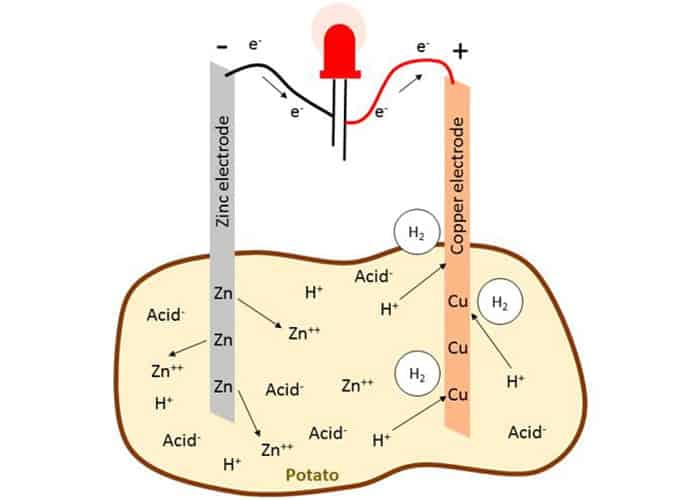 Potato Battery functioning principles