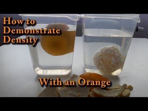 Thumbnail for: How to Demonstrate Density with an Orange