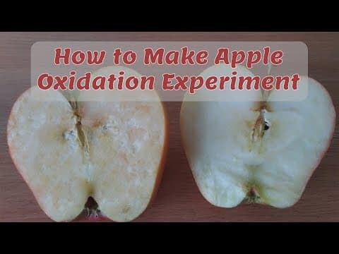 Thumbnail for: Apple Oxidation Experiment