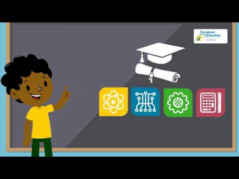 Thumbnail for: STEM education and the labour market