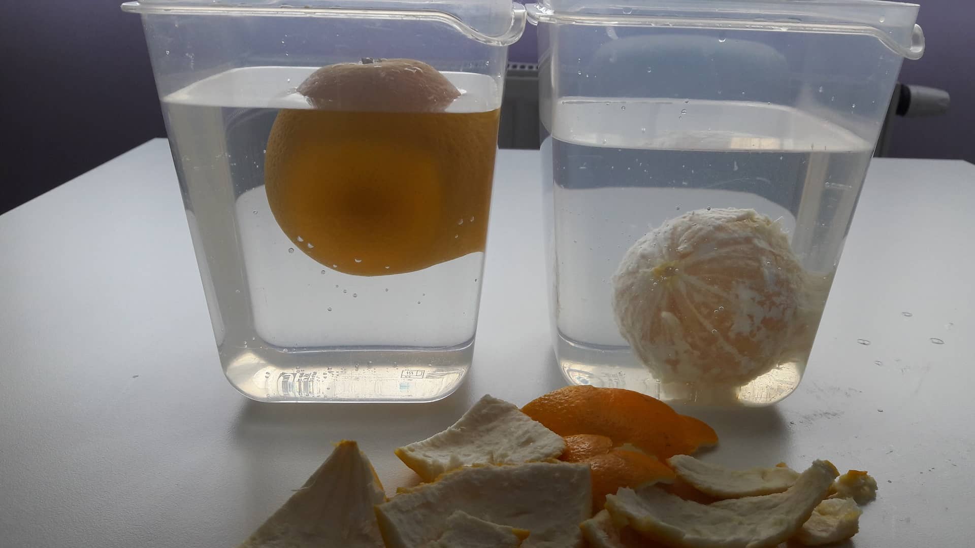 Orange Density Experiment