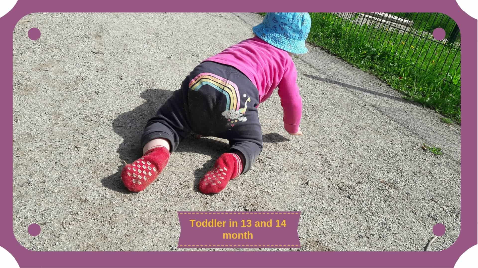 What to expect from a baby in Thirteen and Fourteen Month