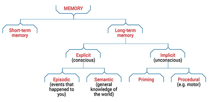 How To Improve Child Working Memory - Types of Memory Diagram