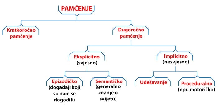 Kako poboljšati radno pamćenje vašeg djeteta - Diagram Vrsta pamćenja