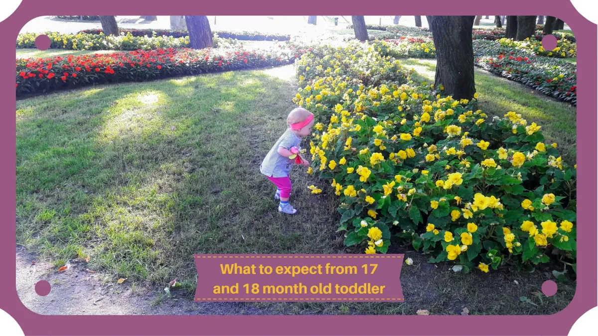A baby in the seventeenth and eighteenth month