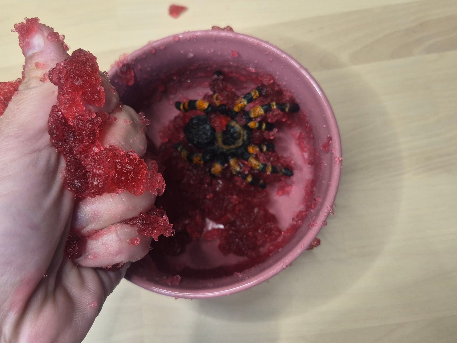 A hand squeezing wobbly dark red gelatine goo over a pink bowl, with a black and orange toy spider sitting in the goo
