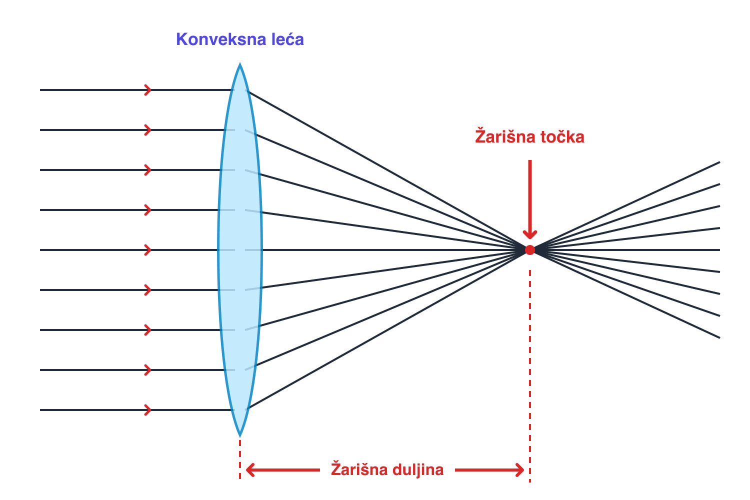 Paralelne zrake svjetla lome se kroz konveksnu leću, spajaju u žarišnoj točki i križaju