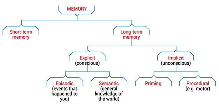 How To Improve Child Working Memory - Types of Memory Diagram