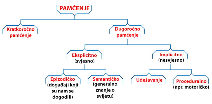 Kako poboljšati radno pamćenje vašeg djeteta - Diagram Vrsta pamćenja