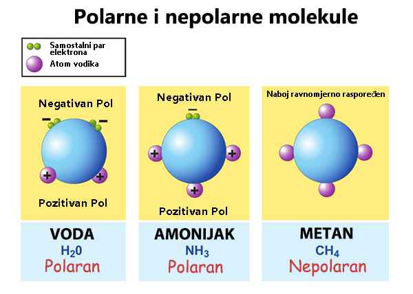 Razlika između polarnih i nepolarnih molekula