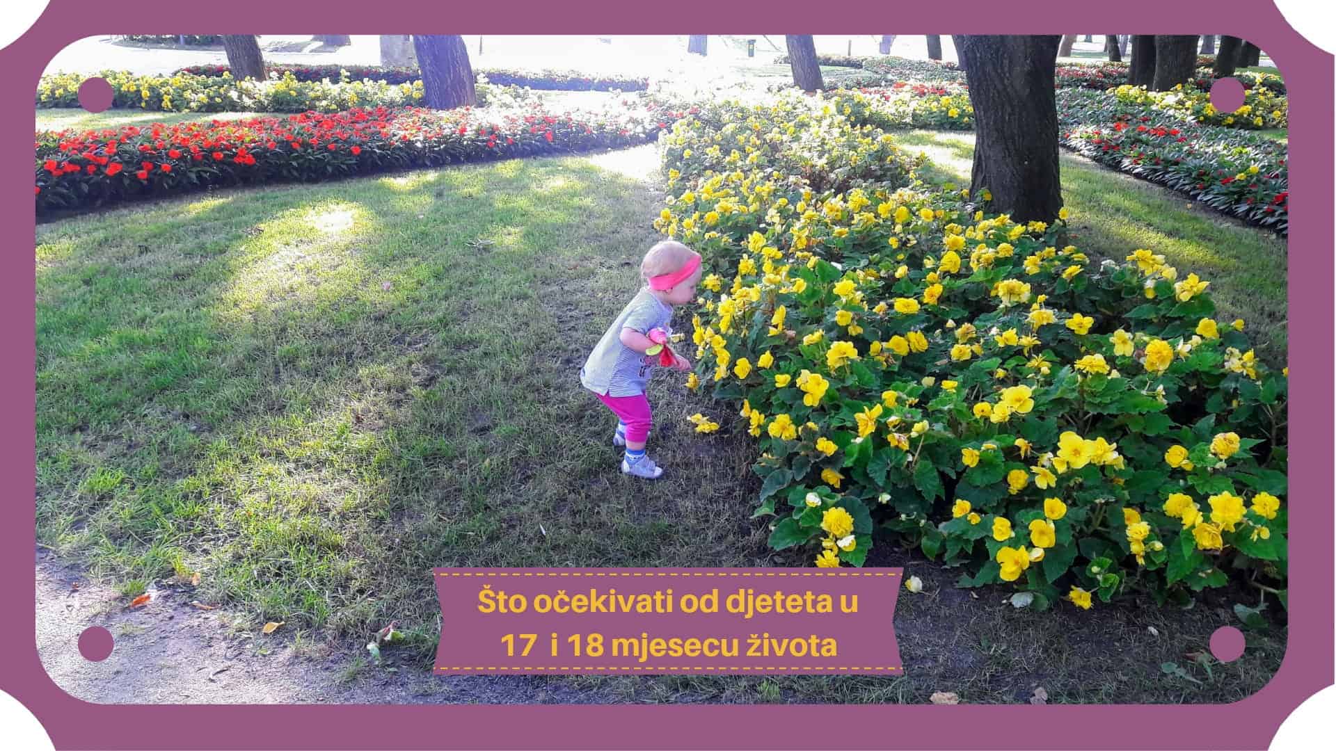 Dijete u sedamnaestom i osamnaestom mjesecu života