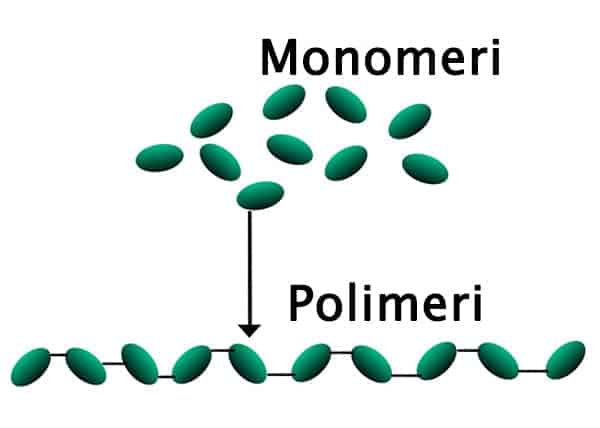 Monomeri kreiraju polimere