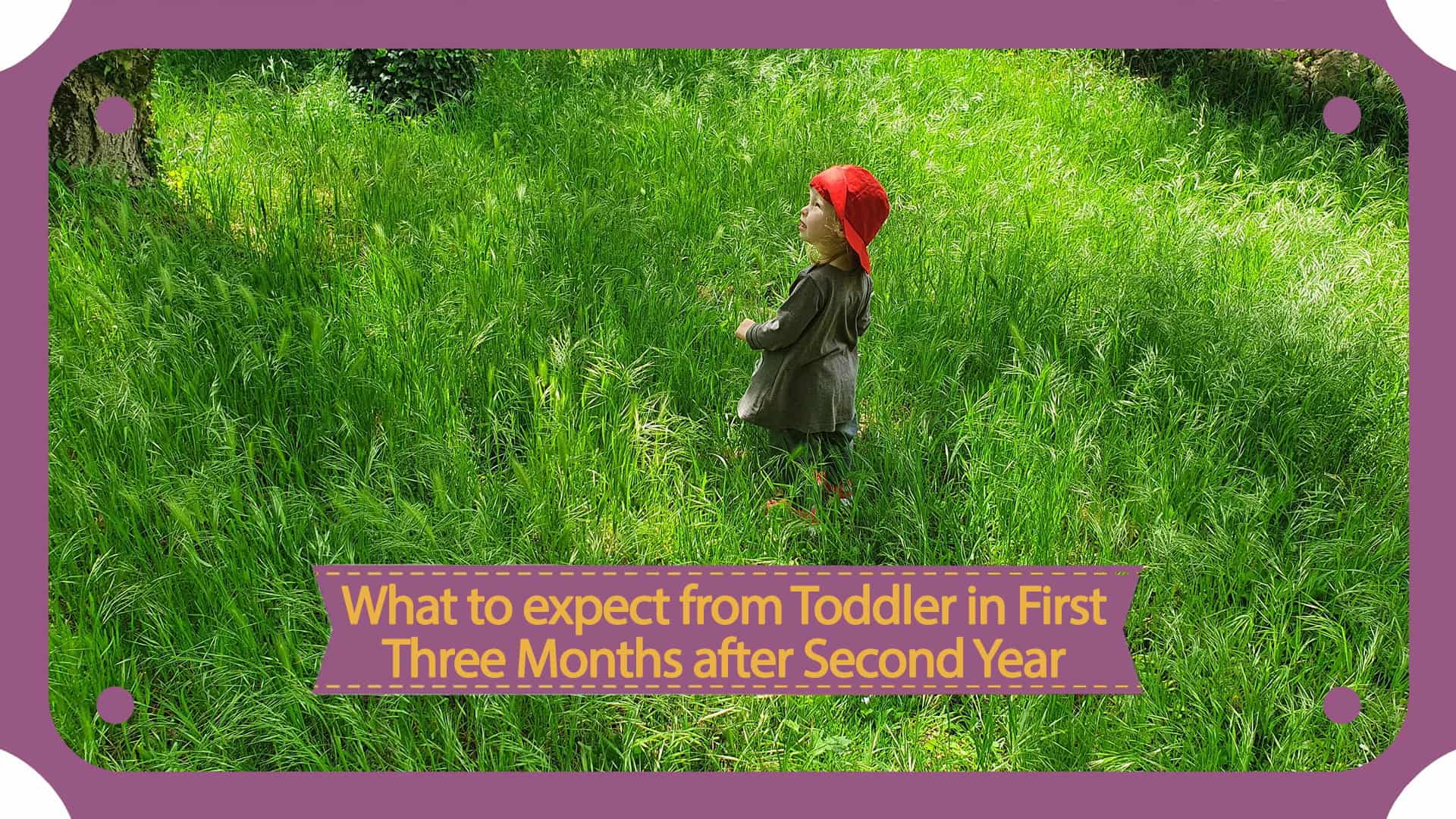 A toddler in the first three months after their second year