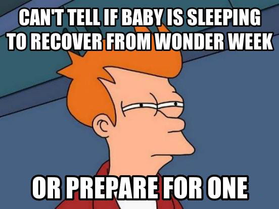 What to expect from the baby in the Tenth month - Wonder Week