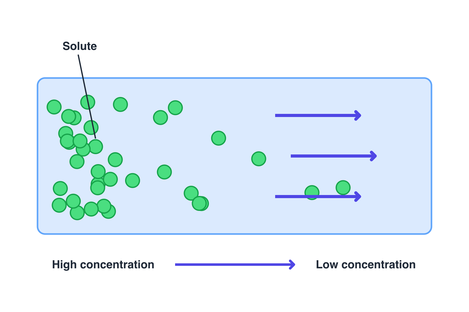 Solute particles in water spreading from an area of high concentration toward an area of low concentration