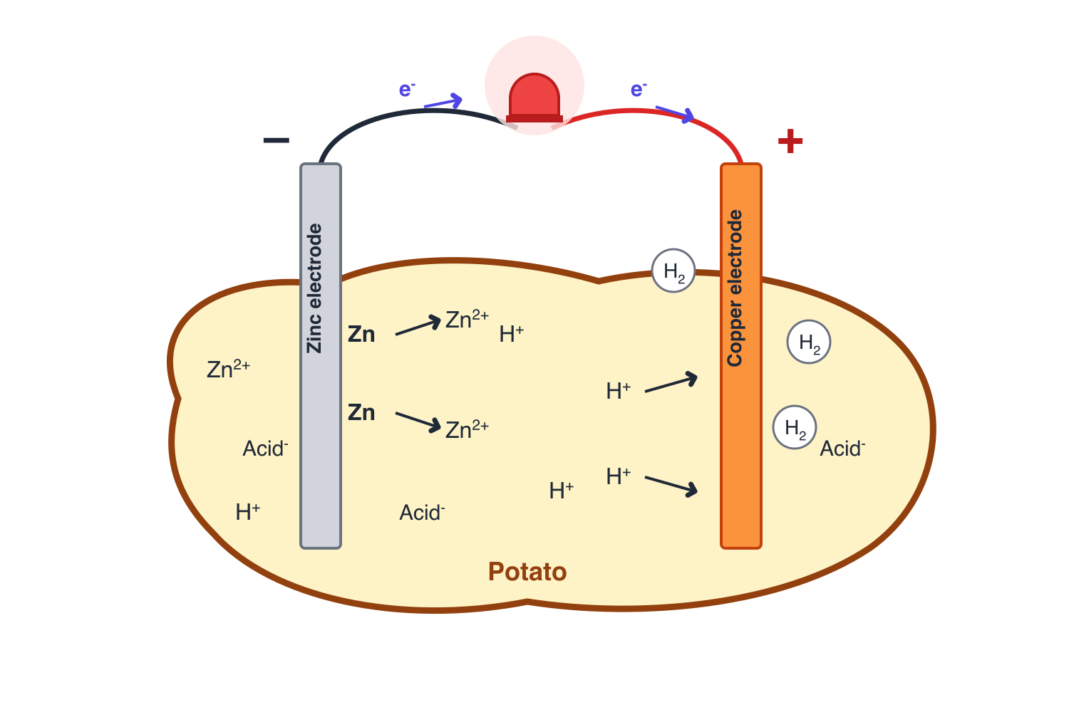 Diagram of a potato battery: a zinc electrode and a copper electrode in a potato, connected by wires to an LED, with zinc dissolving into ions and hydrogen bubbles forming at the copper electrode