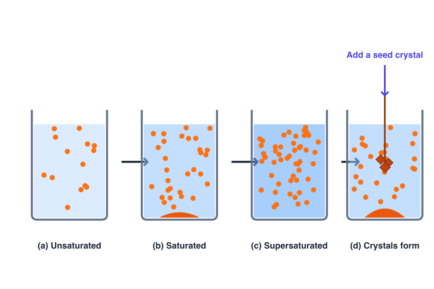 Four beakers showing unsaturated, saturated, and supersaturated solutions, and crystals forming on a seed crystal