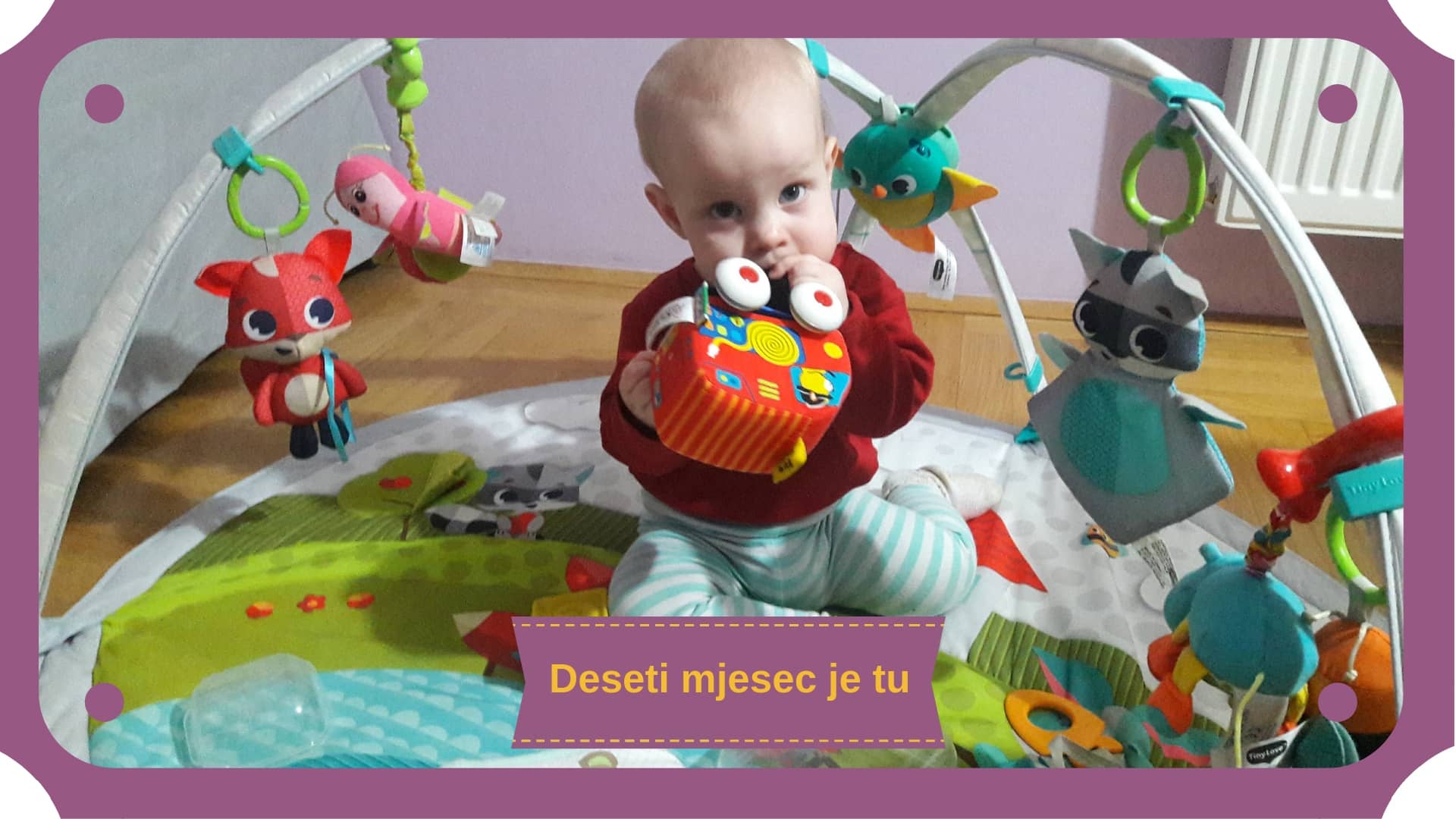 Dijete u desetom mjesecu života