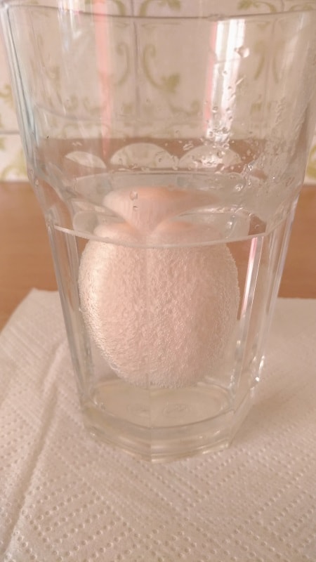 egg-in-vinegar-experiment-make-bouncy-egg-stem-little-explorers